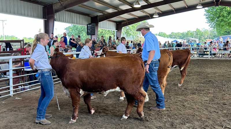 county-fair